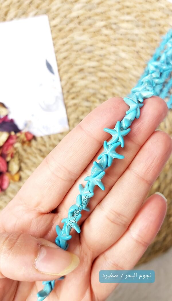 خيرات البحر - نجوم تركواز