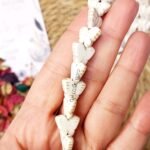 خيرات البحر - فراشات بيضا