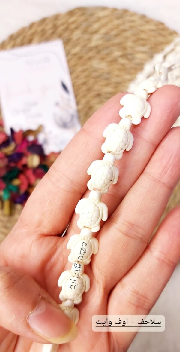 خيرات البحر - سلاحف اوف وايت