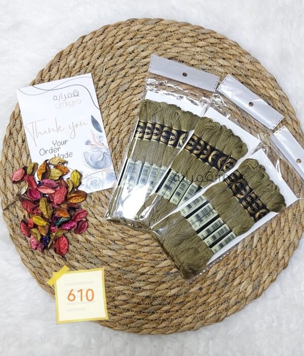 باكيت الأيرو - 610