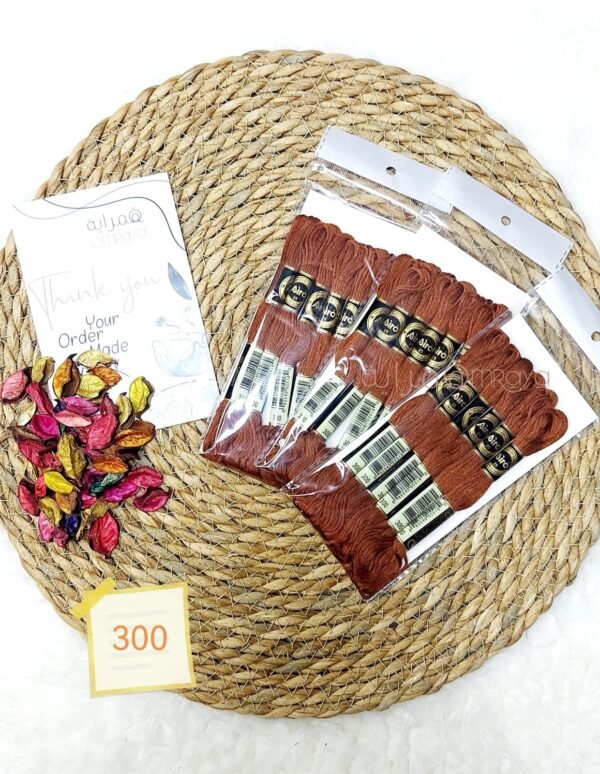 باكيت الأيرو - 300