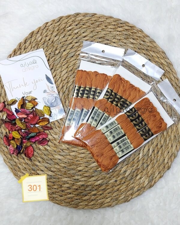 باكيت الأيرو - 301