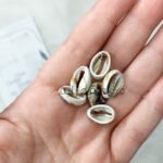 خيرات البحر - صناعي / حبه بيج