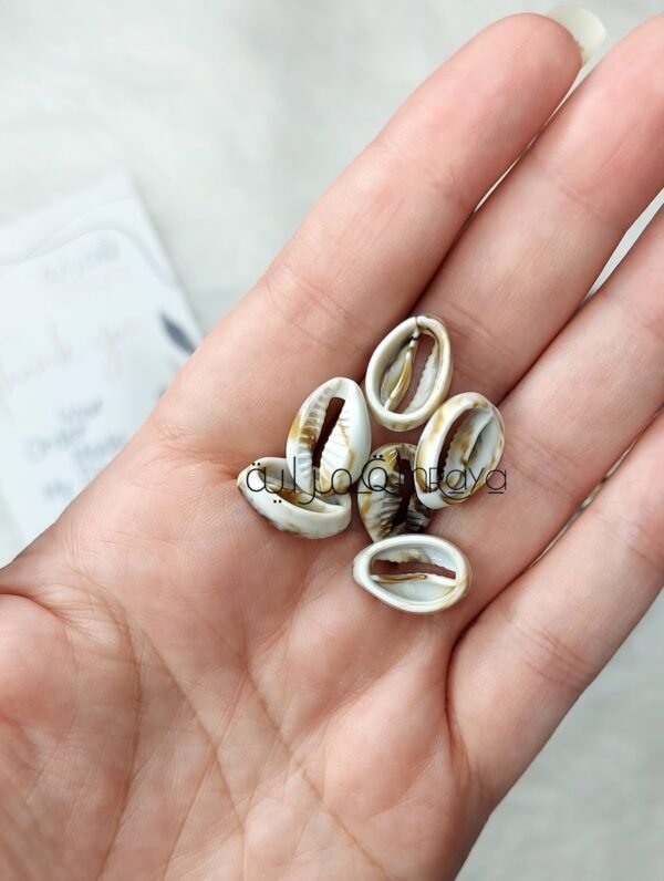 خيرات البحر - صناعي / حبه بيج