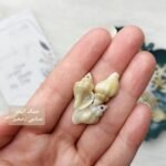 قواقع البحر - صناعي - الصغيرة