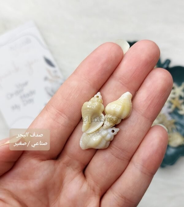 قواقع البحر - صناعي - الصغيرة