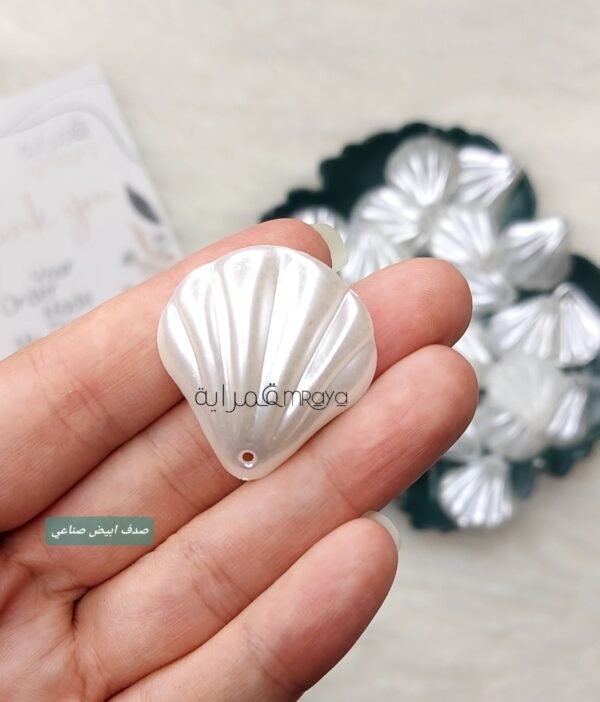 خيرات البحر - صناعي - صدف ابيض