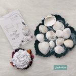 خيرات البحر - طبيعي - صدف ابيض