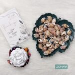 خيرات البحر - طبيعي - قواقع