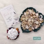 خيرات البحر - طبيعي - حلزون البحر