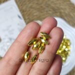 كميترى مضلعه - دهبي