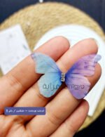 فراشه اورجانزا – طبقتين / رقم 3