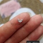 سنبله فضي ثنائيه