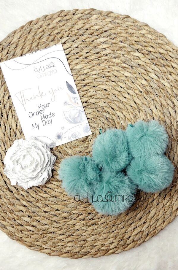 كور فرو - aqua