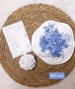 ⁦فيونكه توزيعه - 004⁩ - الصورة ⁦2⁩