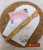 ⁦خيرات البحر - سلاحف ملونه - مانجايه 🥭 (قطع)⁩ - الصورة ⁦2⁩