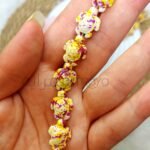 خيرات البحر - سلاحف ملونه - مانجايه 🥭 (قطع)