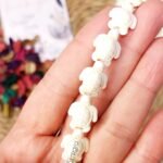 خيرات البحر - سلاحف اوف وايت (القطع)