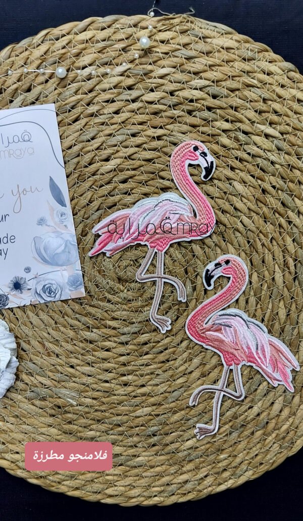 فلامنجو مطرزة (يمين وشمال)